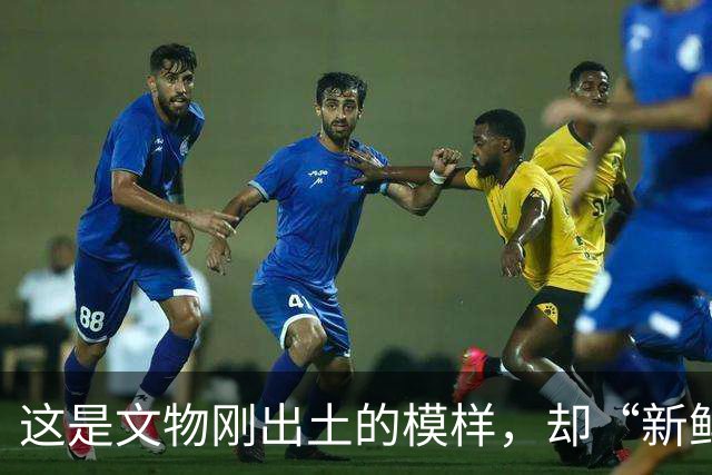 这是文物刚出土的模样，却“新鲜”到不像是真品，怪不得专家会被农民骗